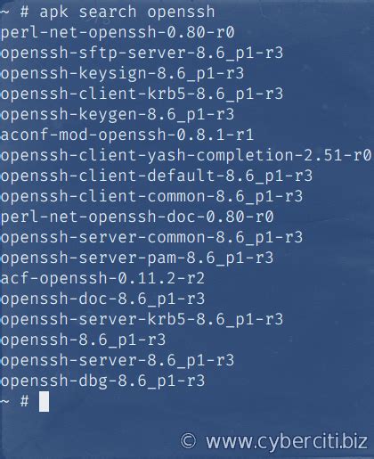 <b>ssh</b>/id_rsa" -t <container-tag>. . Alpine install ssh client